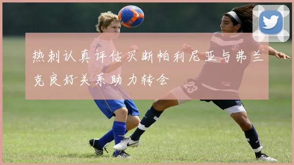 热刺认真评估买断帕利尼亚与弗兰克良好关系助力转会