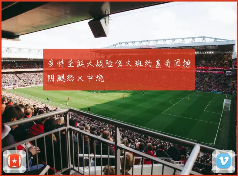 多特圣诞大战险伤文班约基奇因撩阴腿怒火中烧