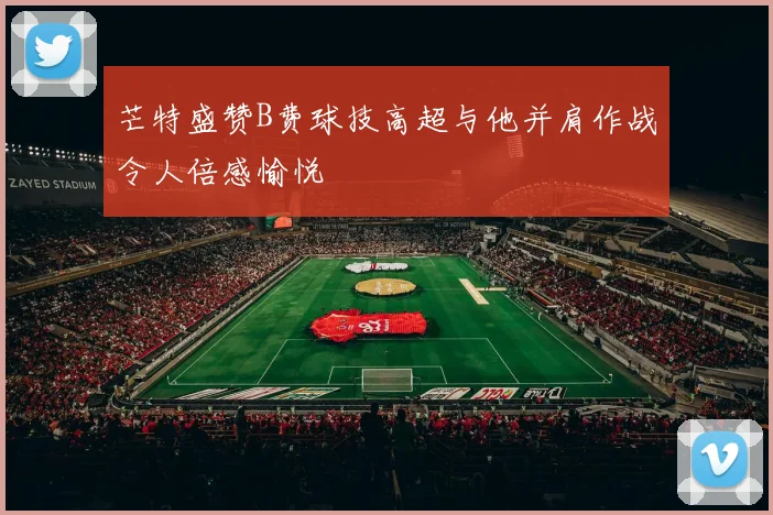 芒特盛赞B费球技高超与他并肩作战令人倍感愉悦