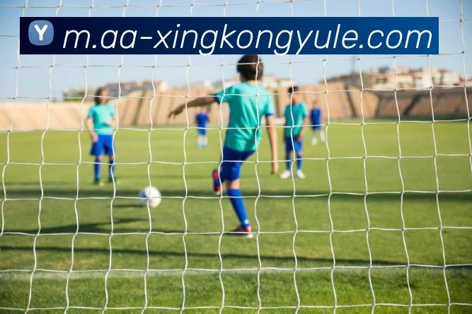 星空娱乐平台生态图